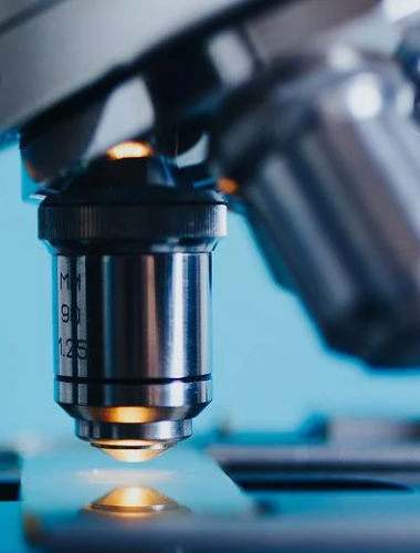 万博manbext体育官网(中国)官方网站登录入口