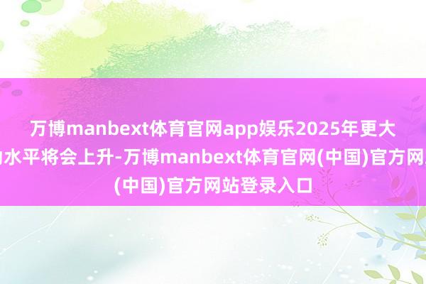 万博manbext体育官网app娱乐2025年更大限制的波动水平将会上升-万博manbext体育官网(中国)官方网站登录入口