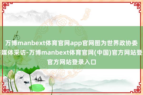 万博manbext体育官网app官网图为世界政协委员给与媒体采访-万博manbext体育官网(中国)官方网站登录入口