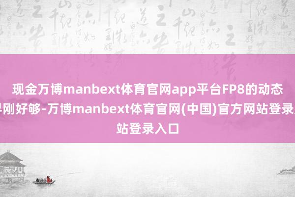 现金万博manbext体育官网app平台FP8的动态边界刚好够-万博manbext体育官网(中国)官方网站登录入口